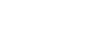 No Name Pins logo